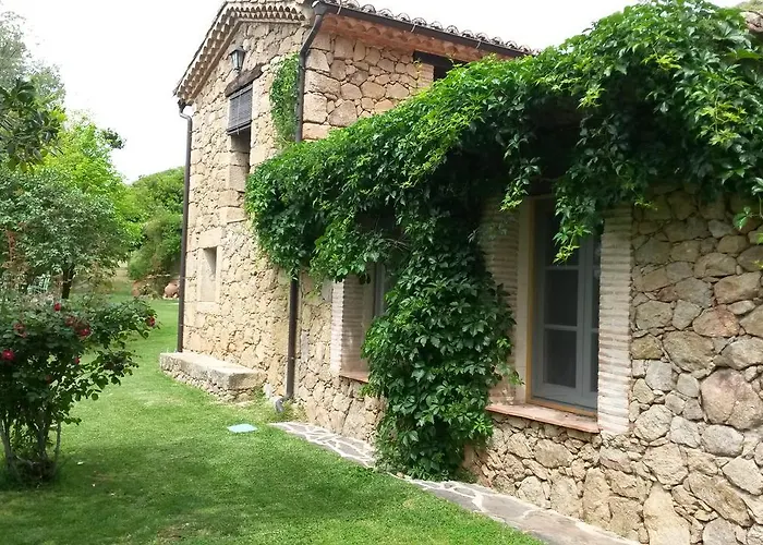 El Vergel De Chilla Son 3 Abejas 1 Abejas 2 Y Libélula