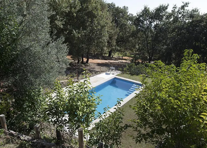 El Vergel De Chilla Son 3 Abejas 1 Abejas 2 Y Libélula *