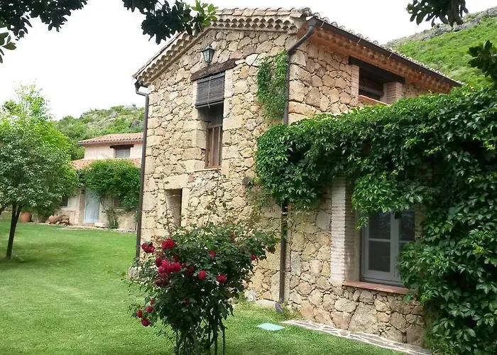 El Vergel De Chilla Son 3 Abejas 1 Abejas 2 Y Libélula Candeleda