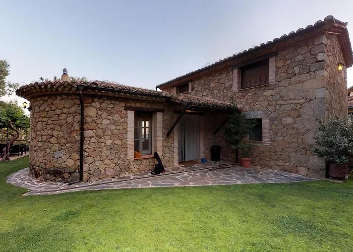 El Vergel De Chilla Son 3 Abejas 1 Abejas 2 Y Libélula