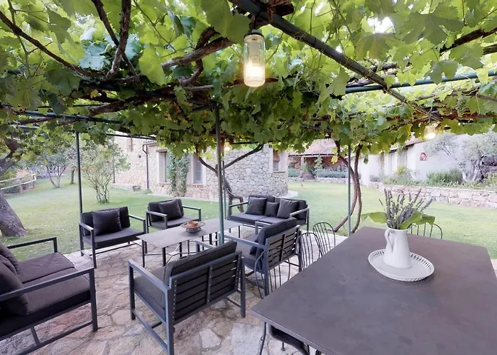 El Vergel De Chilla Son 3 Abejas 1 Abejas 2 Y Libélula Candeleda