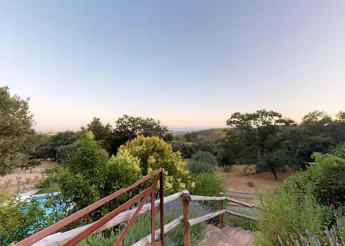 Abejas 1 De El Vergel De Chilla *