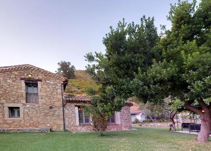 Abejas 1 De El Vergel De Chilla 칸델레다