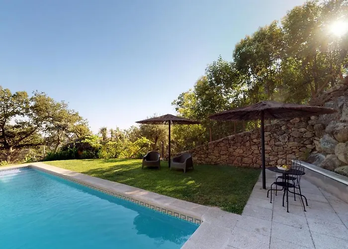 Abejas 1 De El Vergel De Chilla