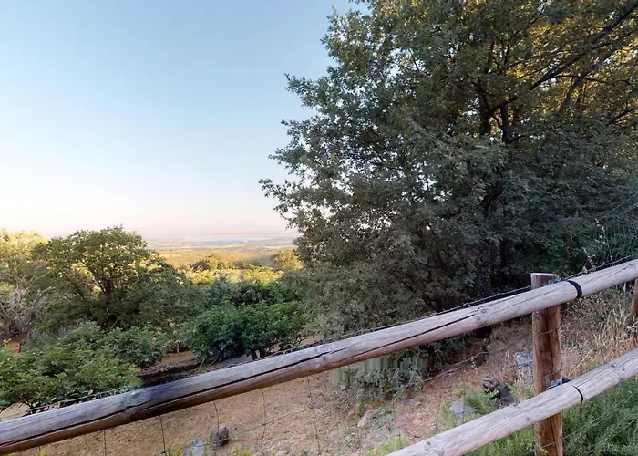 El Vergel De Chilla Son 3 Abejas 1 Abejas 2 Y Libélula