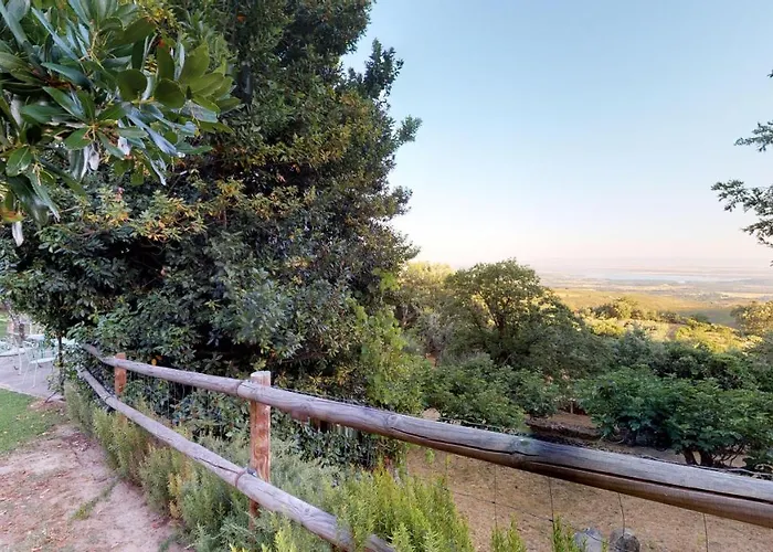 El Vergel De Chilla Son 3 Abejas 1 Abejas 2 Y Libélula Candeleda