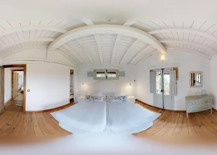 El Vergel De Chilla Son 3 Abejas 1 Abejas 2 Y Libélula *